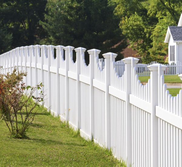 184597103-56a49f2a3df78cf772834e42